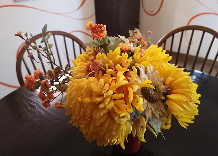 Vallelunga Willa Pula